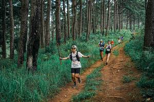 BIB: 
                            <button type="button" onclick="openModal(25659213)" class="btn btn-primary btn-sm float-right btn-popup" data-toggle="modal" data-target=".modal-high-quality">
                        <i class="fas fa-shopping-cart"></i> Add to Cart
                    </button>
                                            <button type="button" onclick="isThisMe(25659213, true)" class="btn btn-success btn-sm float-right btn-popup btn-isme hidden" data-toggle="tooltip" data-placement="bottom" title="นี่คือรูปของคุณใช่ไหม คลิกที่นี่เพื่อเอาเข้าอัลบั้ม">
                        <i class="fas fa-plus"></i> Add to album
                    </button>
                    <button type="button" onclick="isThisMe(25659213, false)" class="btn btn-warning btn-sm float-right btn-popup btn-isnotme hidden">
                        <i class="fas fa-ban"></i> Remove from album
                    </button>